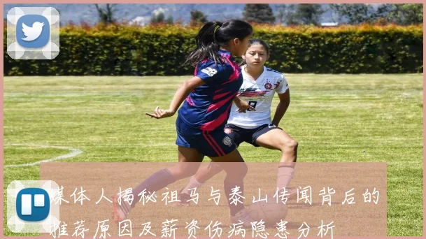 媒体人揭秘祖马与泰山传闻背后的推荐原因及薪资伤病隐患分析